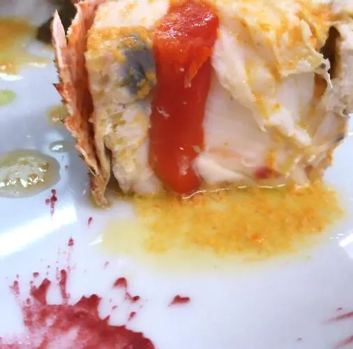 Отель Baja Romantica Боса