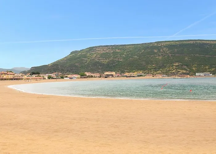 Baja Romantica Боса