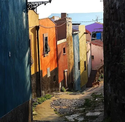 Baja Romantica Боса